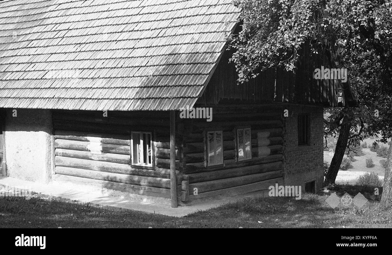 Fotografia del 1964 che mostra case in legno e camere annesse a Rebri, Medvedica, illustrando la tradizionale architettura rurale slovena e i modelli di insediamento. Foto Stock