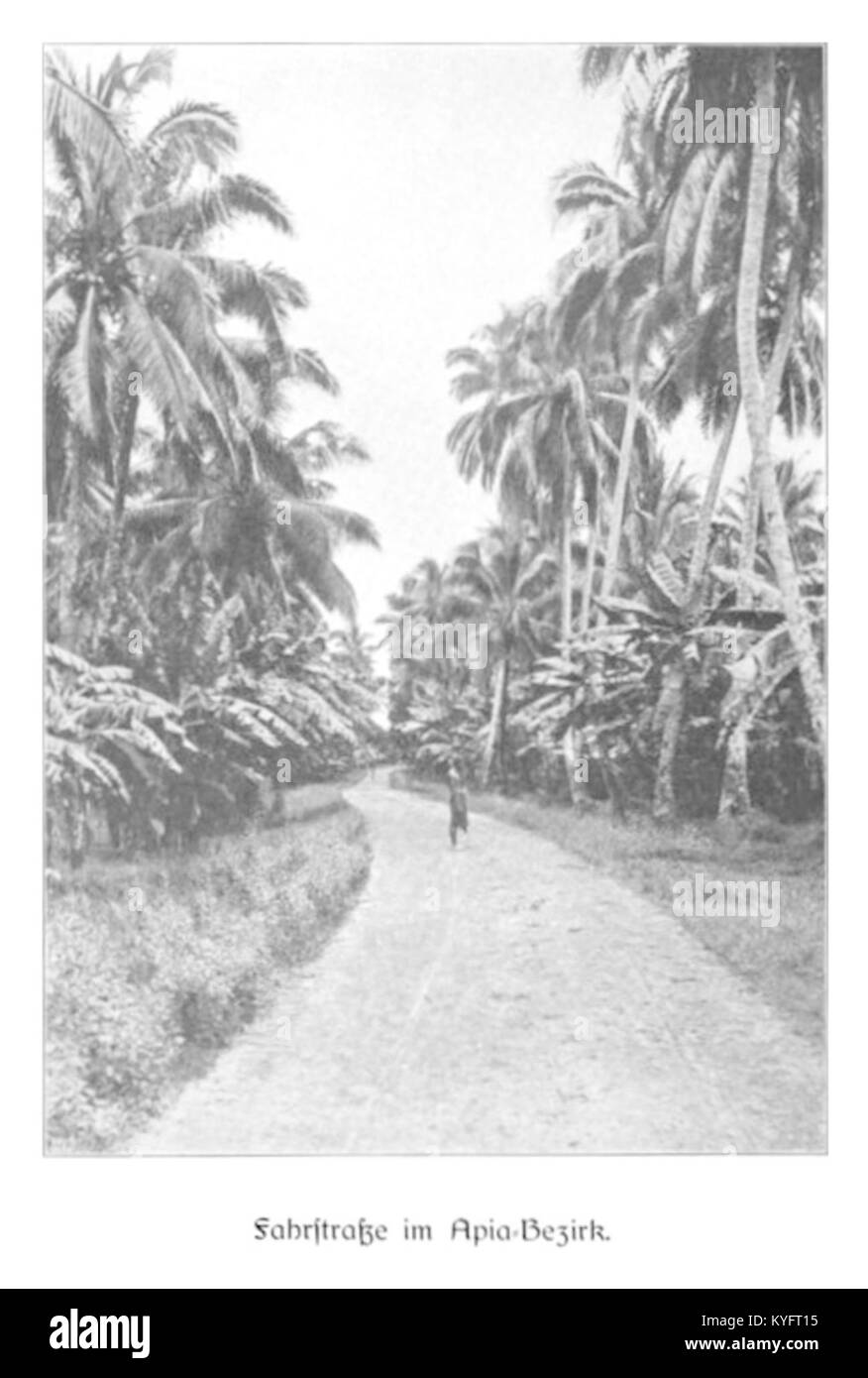 Questa fotografia del 1904 mostra una strada (Fahrstraße) nel distretto di Apia, che illustra le infrastrutture di trasporto dei primi anni del XX secolo a Samoa. Foto Stock