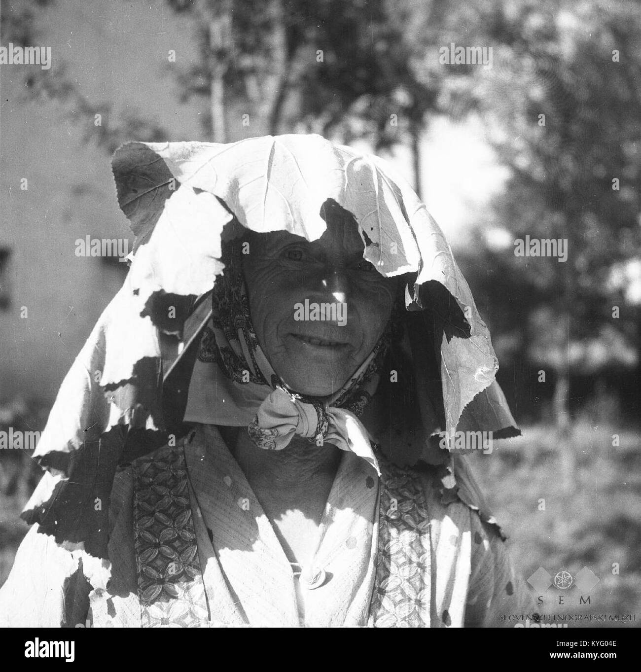 Questa immagine del 1964 mostra un cappello piumato utilizzato come protezione dalla pioggia mentre si lavora nei campi, che illustra le pratiche agricole tradizionali in Slovenia. Foto Stock