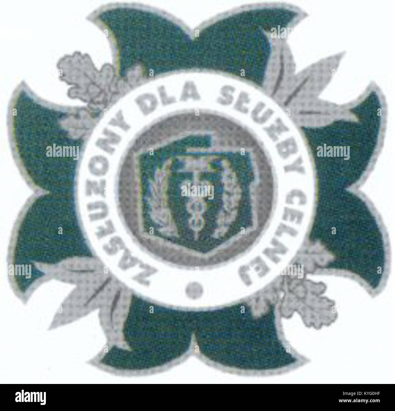 La decorazione polacca "Odznaka Zasłużony dla Służby Celnej" (Meritorious for Customs Service Badge) assegnata per il servizio distinto nell'amministrazione doganale polacca. Foto Stock