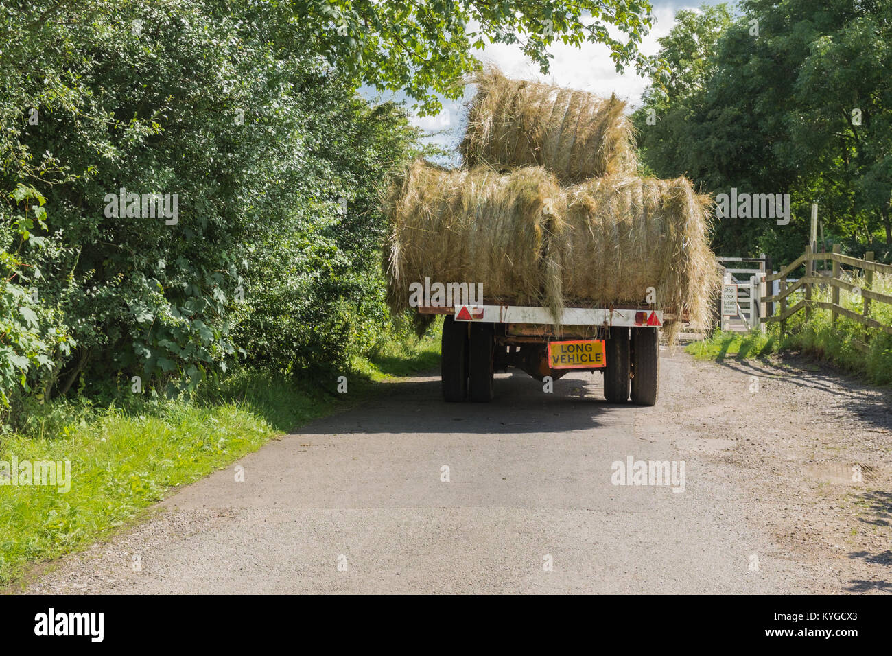 Agriturismo Il rimorchio caricato con grandi rotoballe di fieno che viaggia lungo aa English country lane. Foto Stock