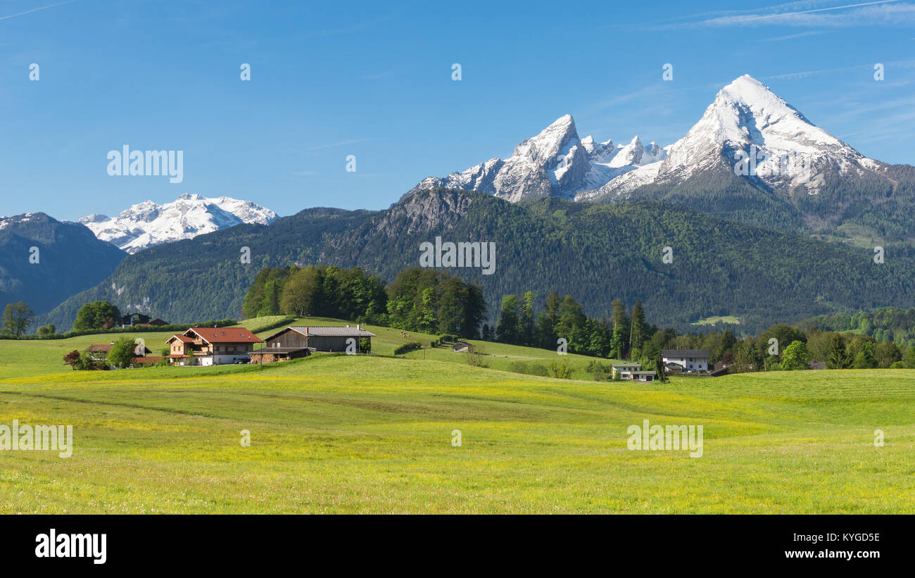Campagna tradizionale molla alpino panoramico paesaggio nel comune bavarese Berchtesgaden con il monte Watzmann e il prato fiorito Foto Stock