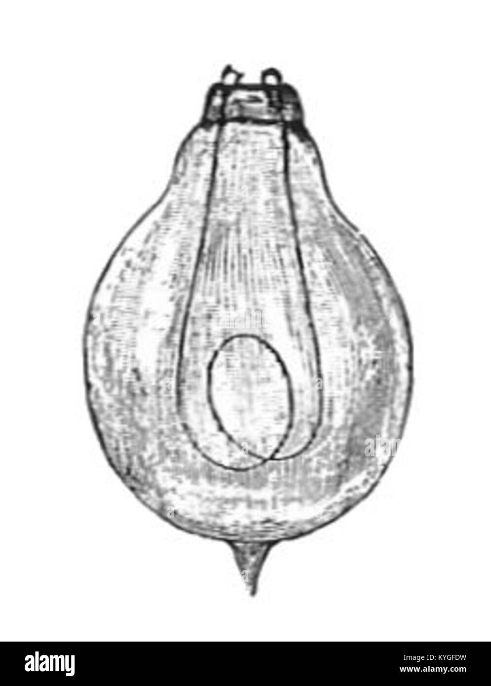 Robert Lucas Pearsall (1795–1856) è stato un compositore inglese noto per la sua musica vocale, tra cui "in dulci jubilo" e "Lay a garland". Trascorse i suoi ultimi anni in Germania e Svizzera. Nato in una ricca famiglia quacchera, studiò privatamente e praticò legge prima di concentrarsi sulla musica. Le sue composizioni sono ancora eseguite oggi. Foto Stock