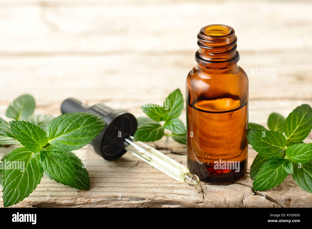 La menta piperita olio essenziale e lascia sulla tavola di legno Foto Stock