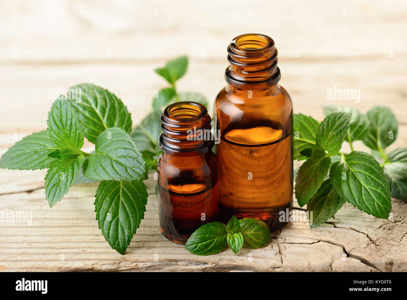 La menta piperita olio essenziale e lascia sulla tavola di legno Foto Stock
