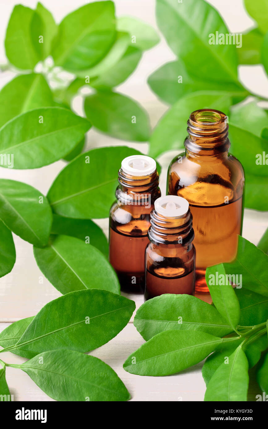 Bitter Orange foglia olio essenziale e foglie fresche sulla tavola di legno Foto Stock