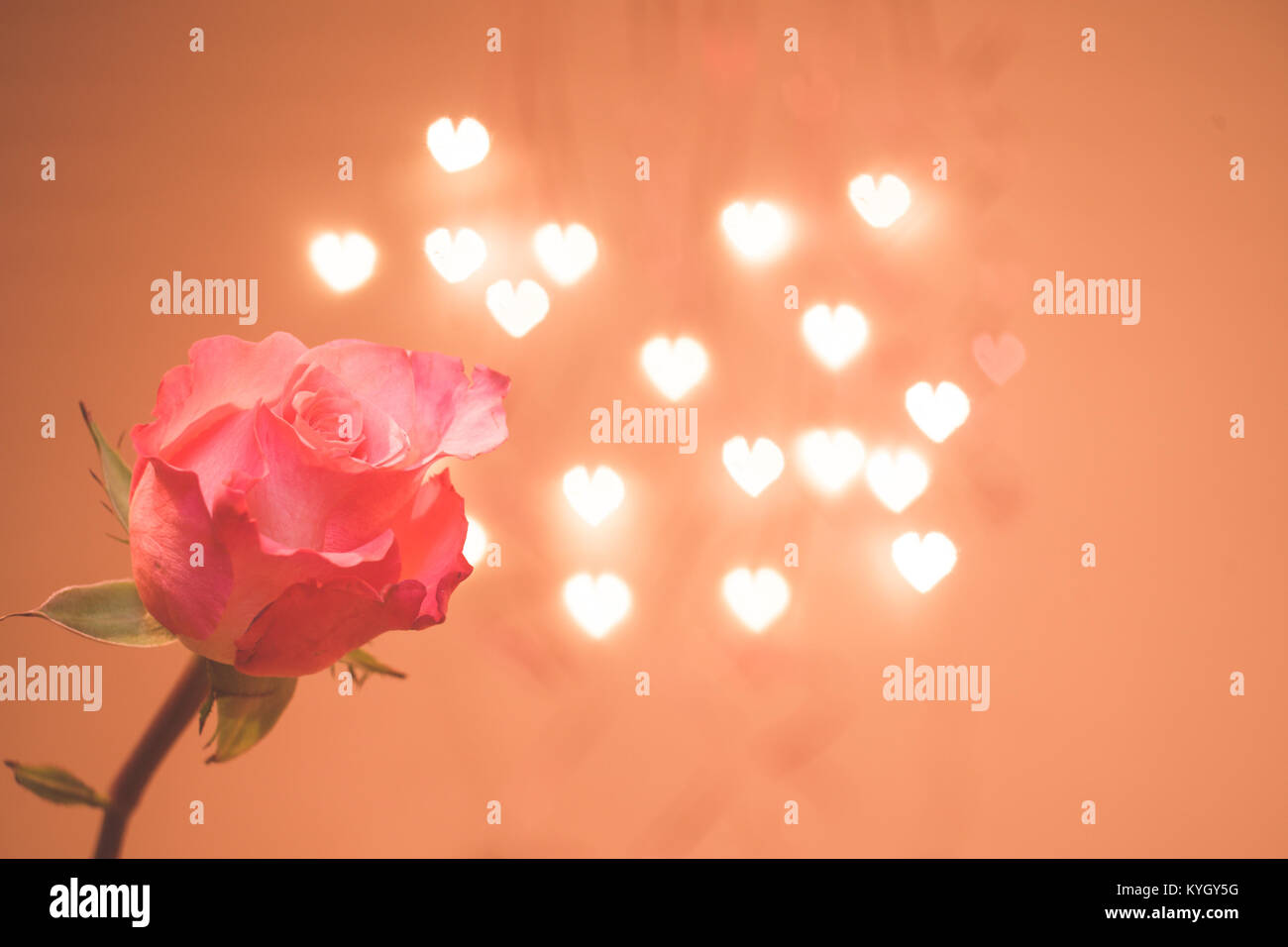 Le rose rosa bouquet e cuori sfondo bokeh di fondo che simboleggia l'amore e la passione, il giorno di San Valentino / Womans Giorno della carta Foto Stock