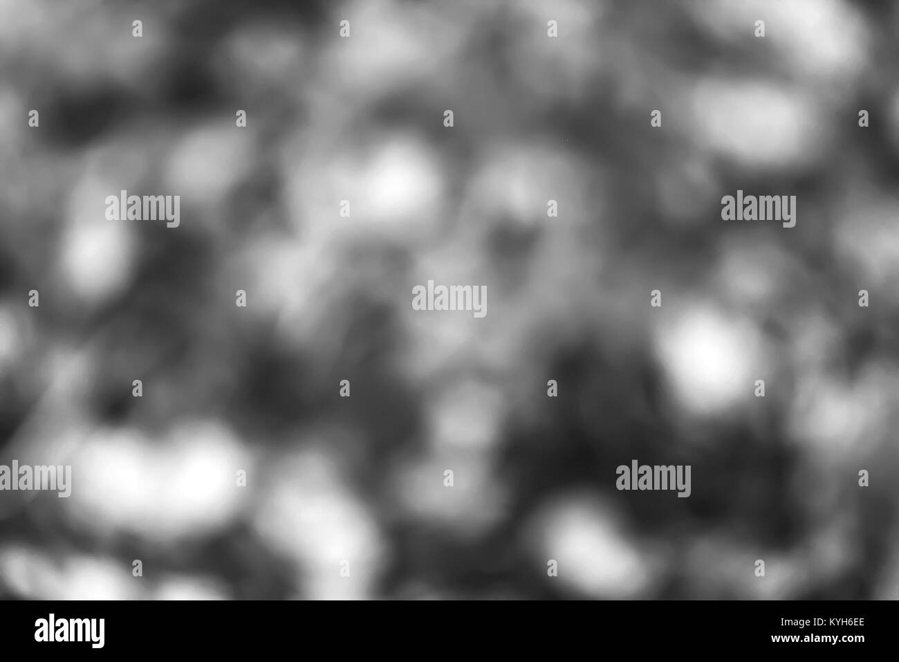 Le foglie in autunno Park. Foresta di autunno è bellissimo. Yello Foto Stock