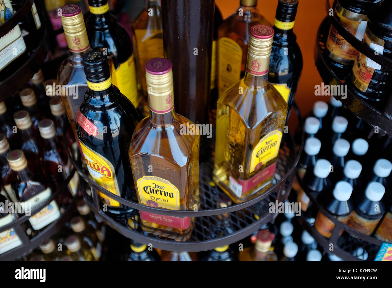 Bottiglie di Tequila per la vendita in un negozio di Souvenir in Cozumel, Messico. Foto Stock