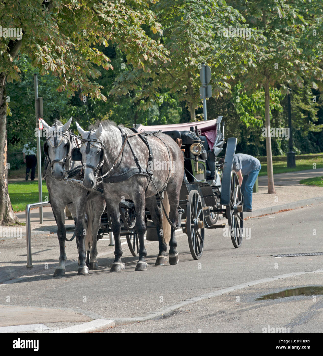 Kurgarten giardino, carrozza, Baden-Baden, città termale, Foresta Nera, Baden Wurttemberg, Germania, Europa Foto Stock