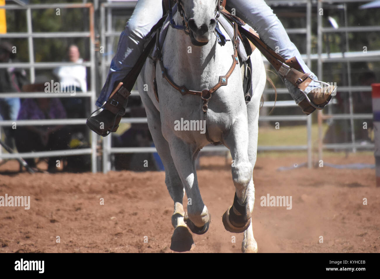 Cavallo sport, Barrel racing, RODEO EVENTI Foto Stock