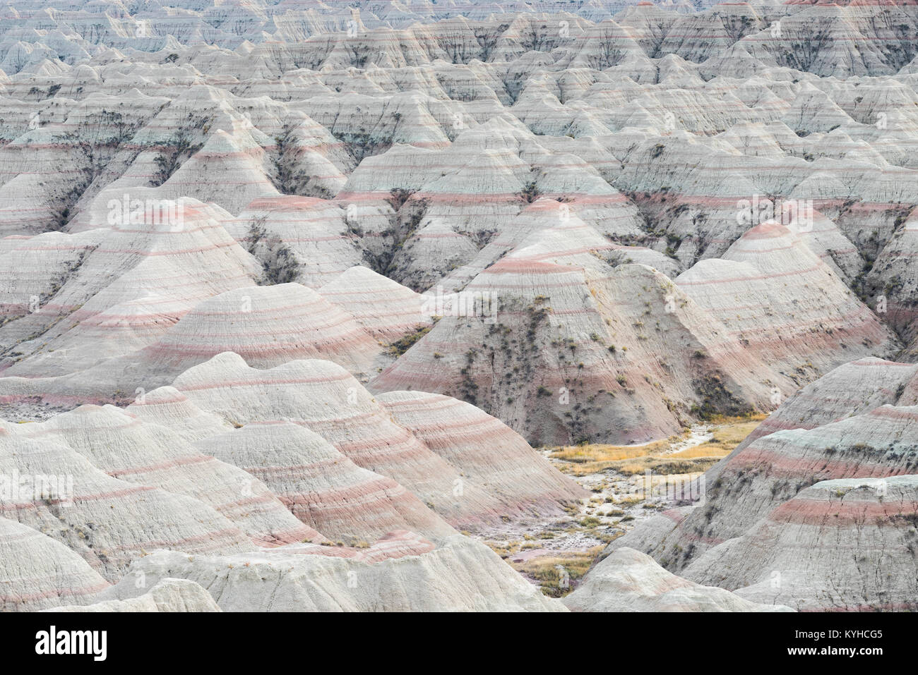 Caratteristiche di erosione, Big Badlands Overlook, Parco nazionale Badlands, S. Dakota, Stati Uniti d'America, di Dominique Braud/Dembinsky Associa foto Foto Stock