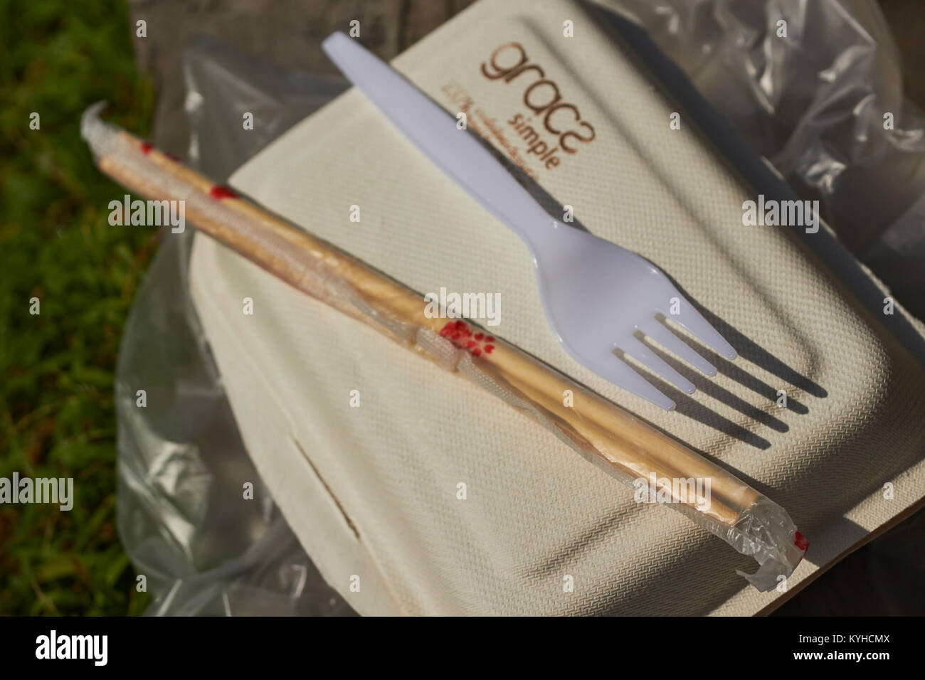 Tipico di plastica espansa take away contenitore per alimenti con una forchetta e bastoncini, Thailandia Foto Stock