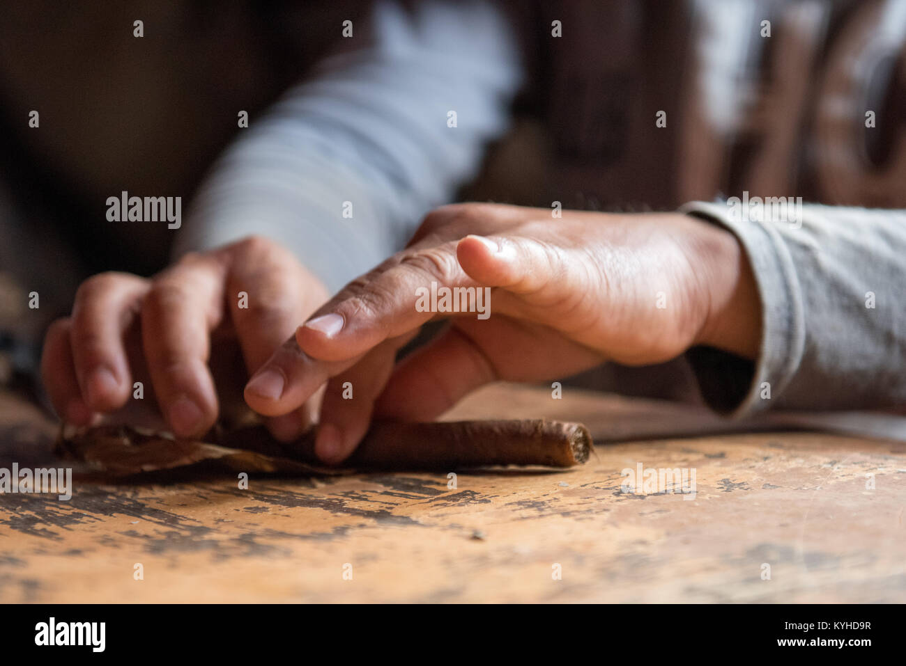 Coltivatore di tabacco Sigari di laminazione Foto Stock