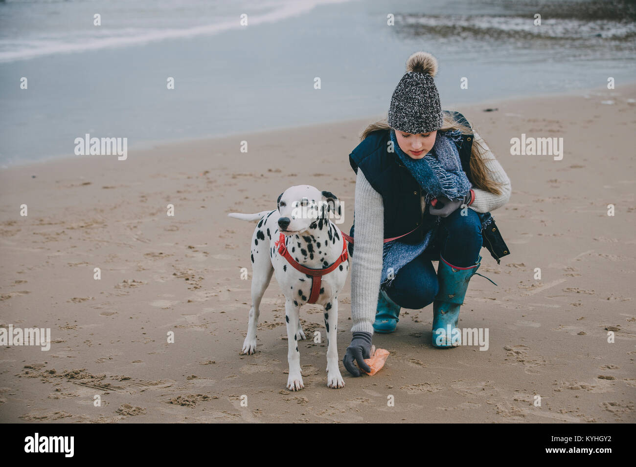 Donna di pulizia dopo il cane su una spiaggia in inverno. Foto Stock