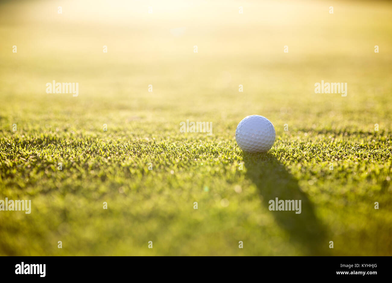 Palla da golf sul putting green Foto Stock