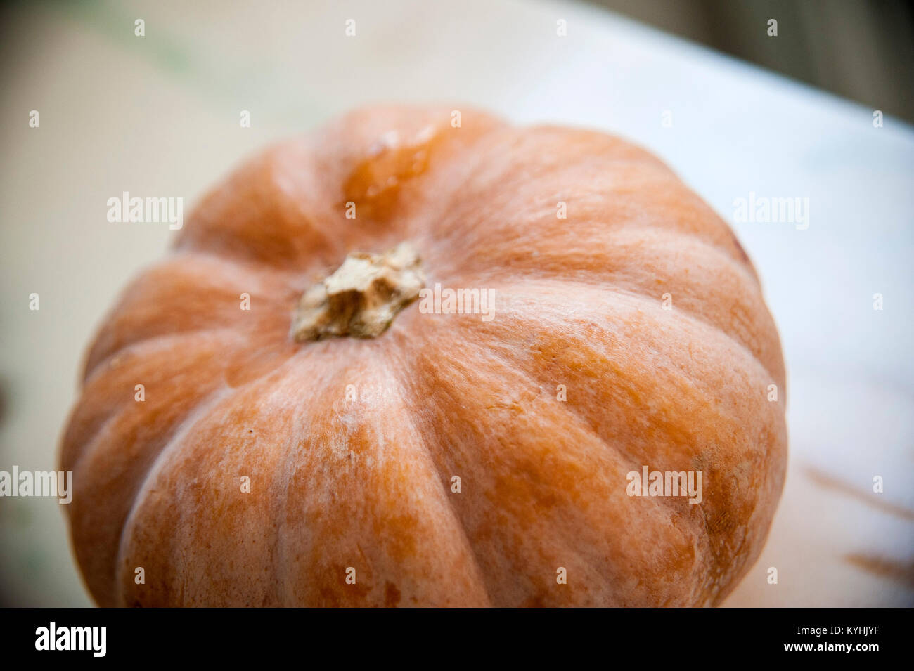 Musquee zucca - Muskatkürbis Foto Stock