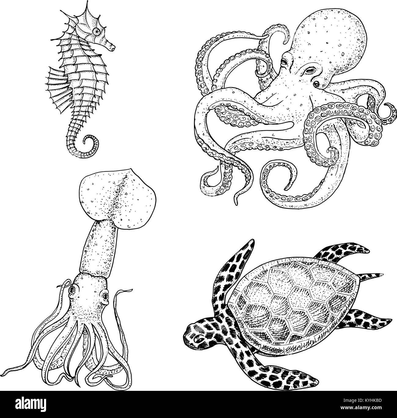 Pesci e frutti di mare o creatura del mare famiglia Cheloniidae o tartaruga verde ed il cavalluccio. octopus e calamari, calamari. incisi disegnati a mano nel vecchio sketch, in stile vintage. nautico marina o. animali nell'oceano. Illustrazione Vettoriale