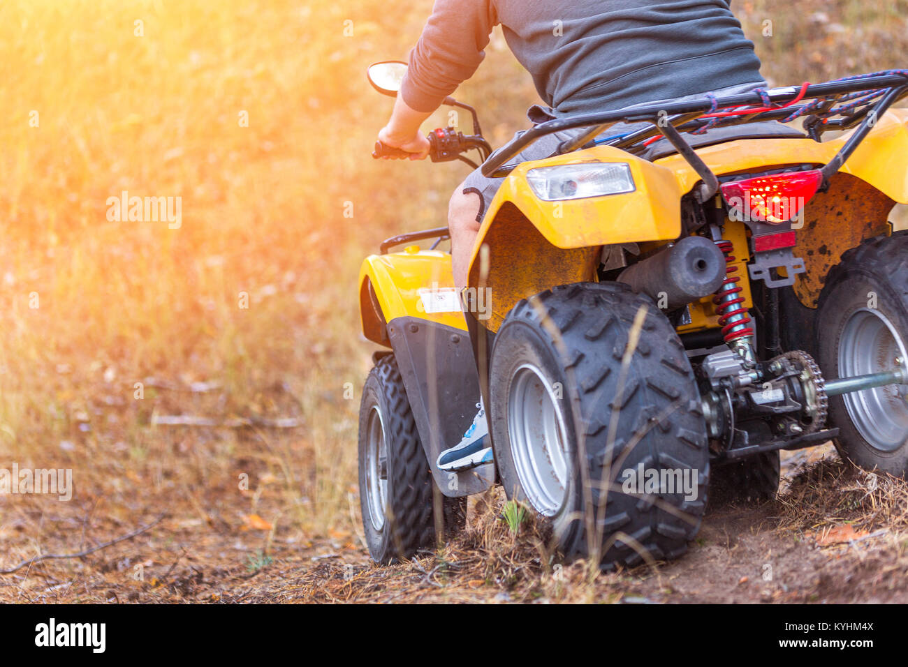 Uomo che cavalca un ATV quadbike in un autunno bello e mite foresta di pini con tappeto di aghi caduti. Foto Stock