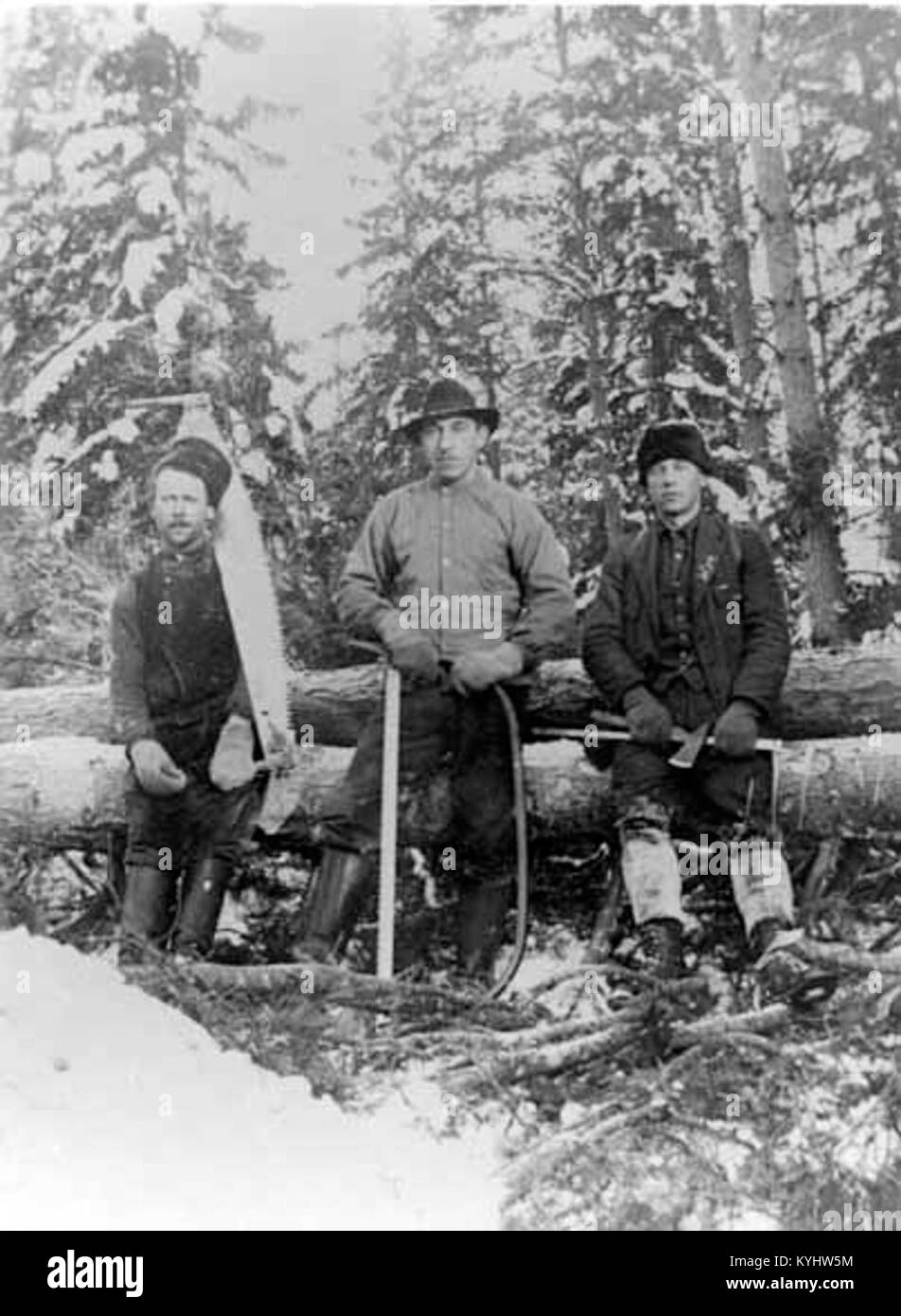 Sandudden a Klintebäck, Svezia, documenta il lavoro dei guardiani forestali negli anni '1920, mettendo in evidenza le pratiche di gestione forestale e la storia forestale regionale. Foto Stock