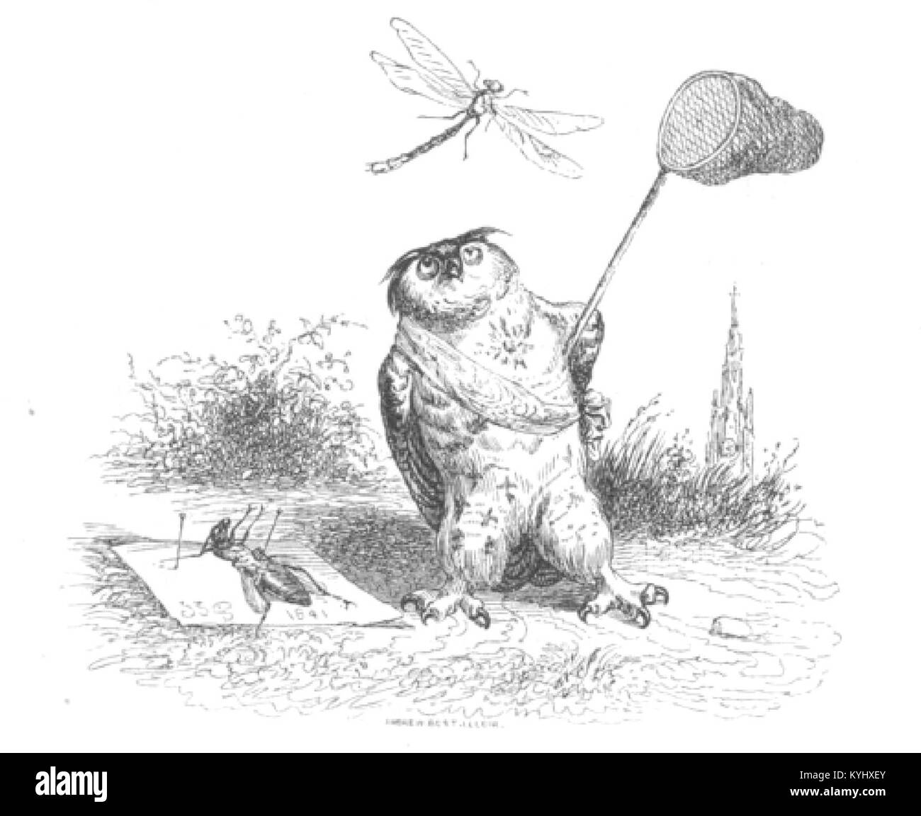 Un'immagine tratta da "Scene di vita privata e pubblica di animali" che illustra il comportamento e la vita degli animali in diversi ambienti naturali e sociali. Foto Stock