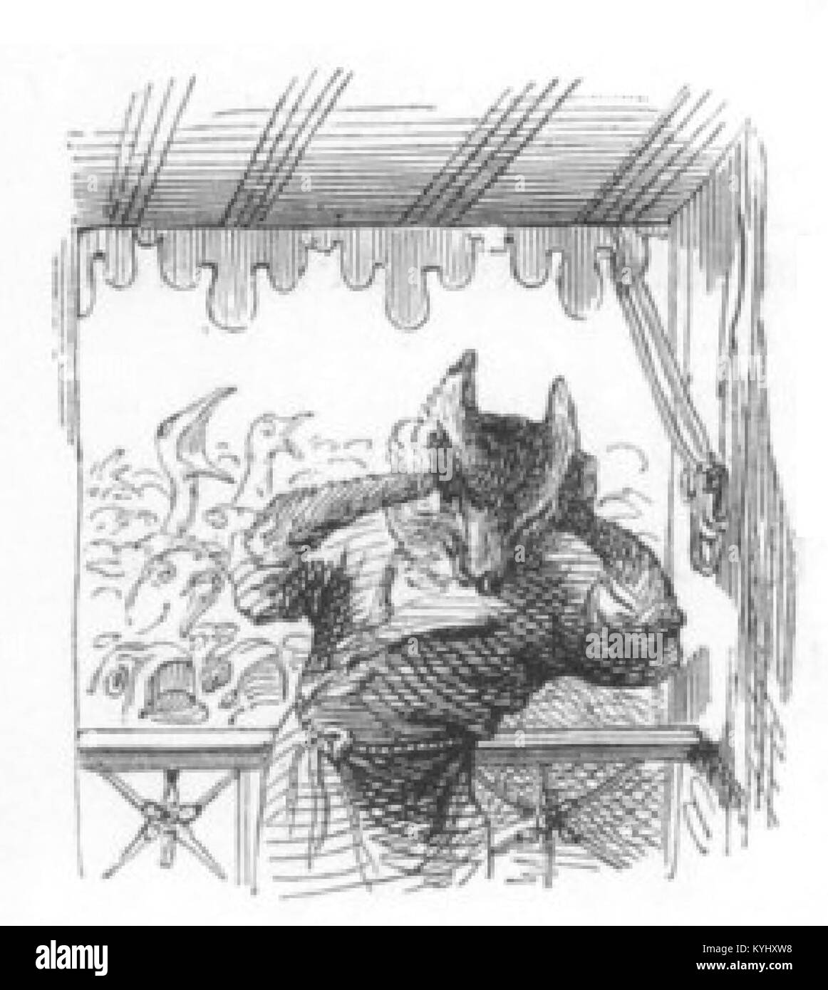 Il volume 2 illustra gli animali domestici e selvatici impegnati in attività quotidiane, comportamenti sociali e interazioni ambientali, sottolineando gli studi biologici ed etologici. Foto Stock