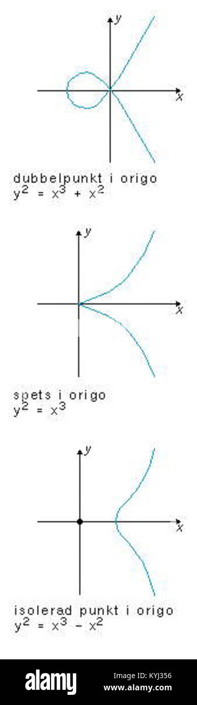 Questo testo matematico discute le singolarità, concentrandosi sui tipi più semplici di punti singolari nelle curve. Fornisce un'introduzione alla teoria della singolarità in matematica, un concetto cruciale nella geometria e nella topologia algebrica. Foto Stock