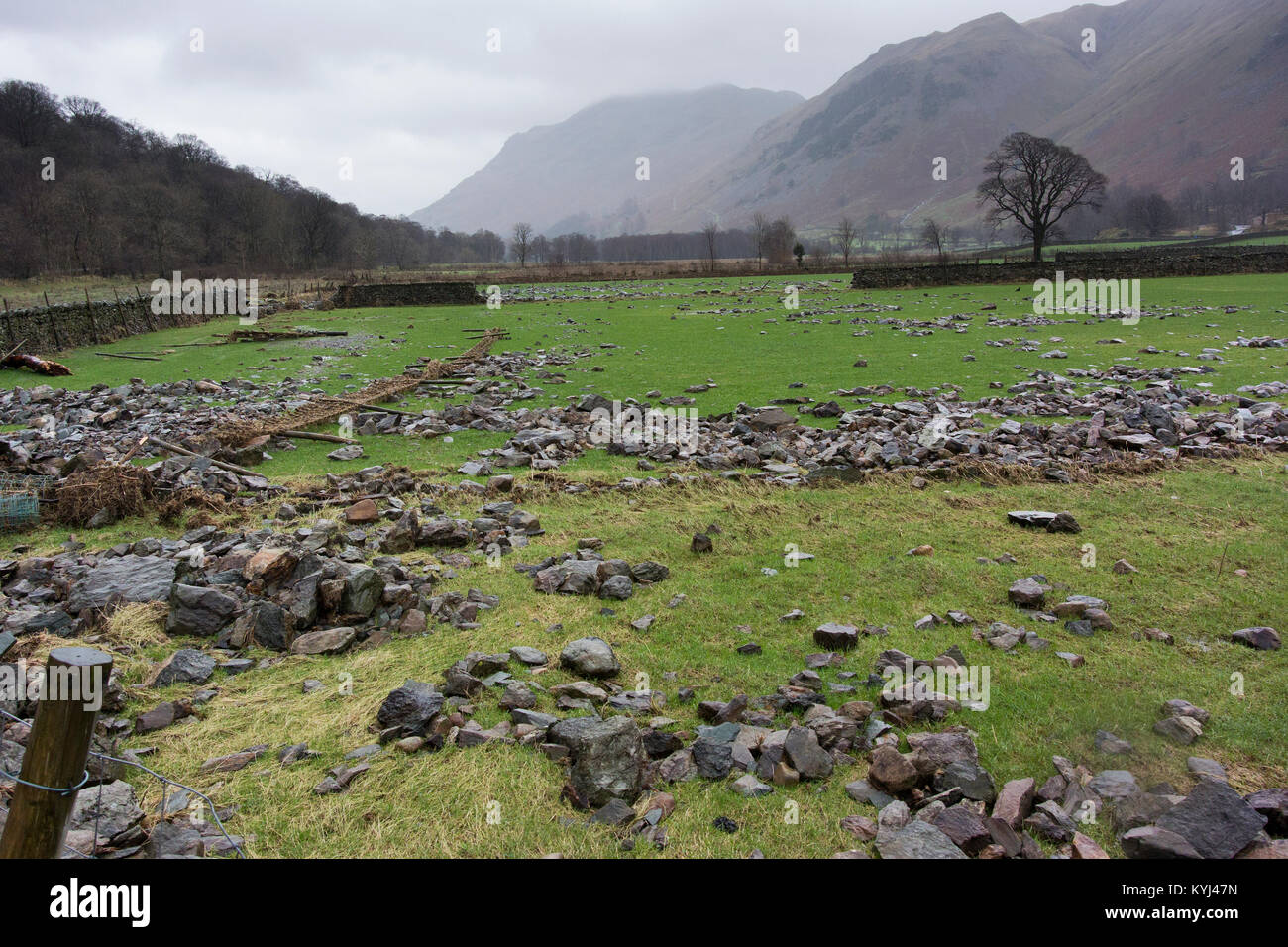 Farmland danneggiato dalle alluvioni, con muri in pietra a secco lavato via. Cumbria, Regno Unito. Foto Stock