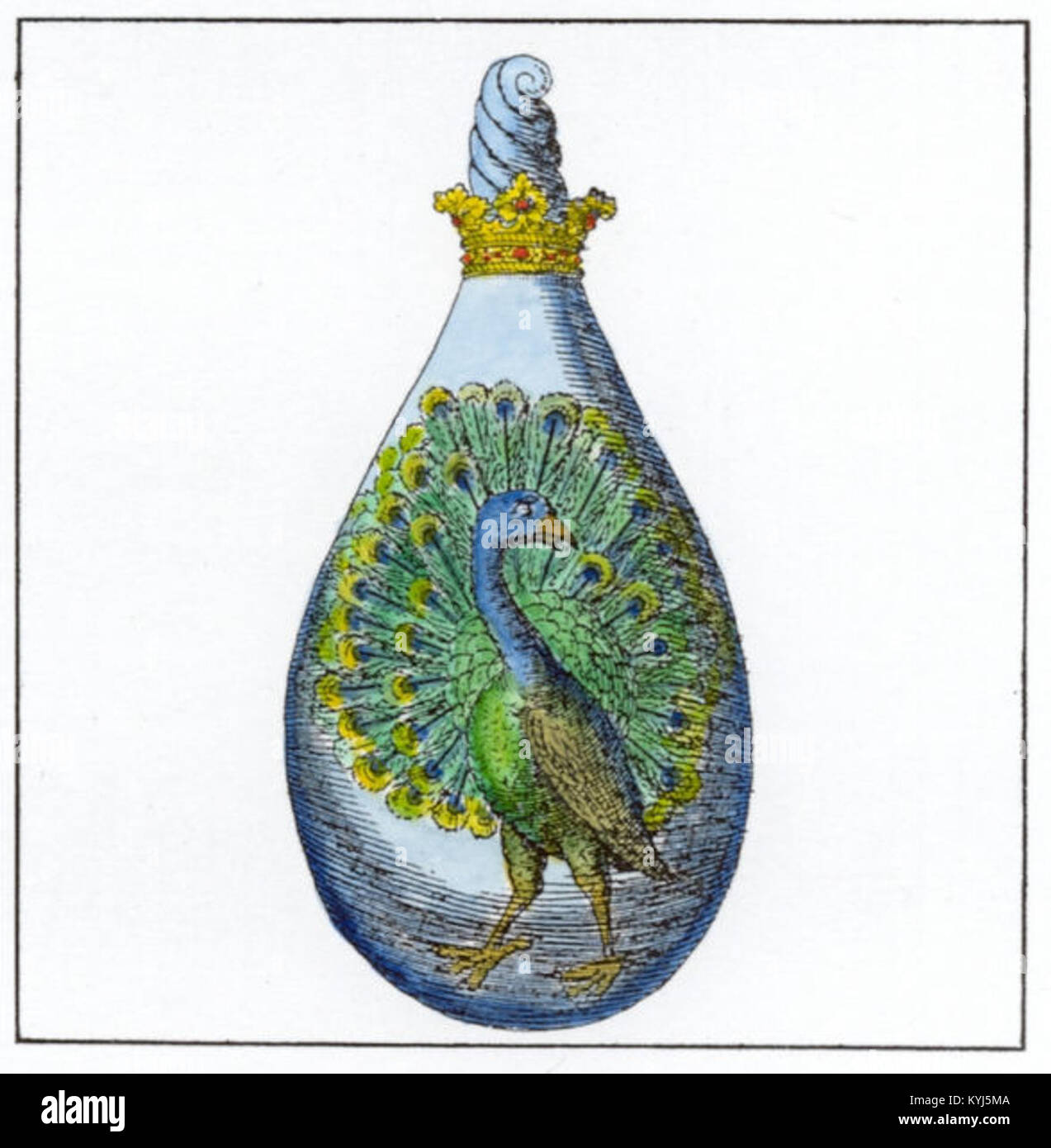 L'immagine 16 di "Splendor Solis" raffigura Venere rappresentata come la coda del pavone, parte di un manoscritto alchemico che illustra immagini simboliche. Foto Stock