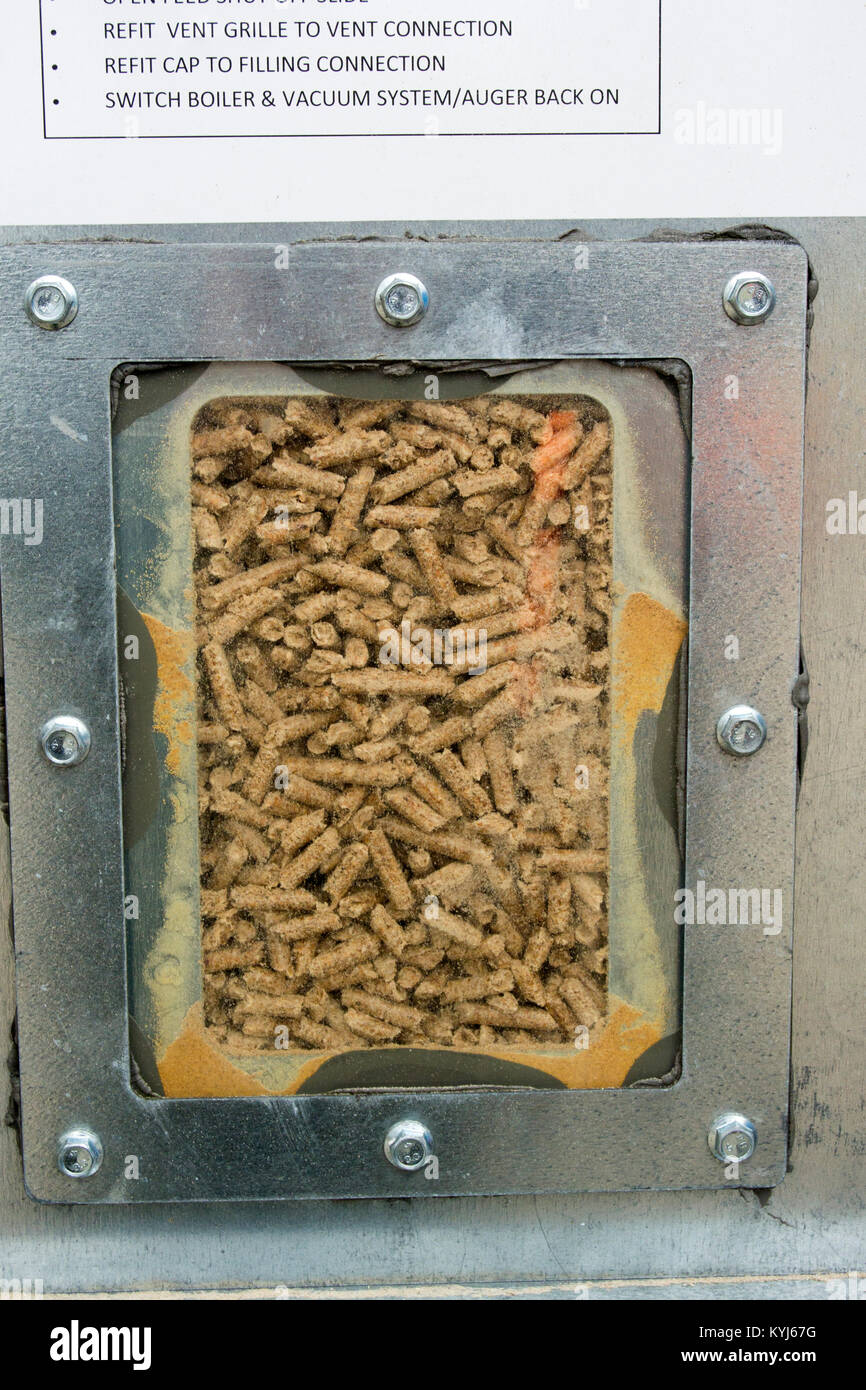 Pellet di legno che viene erogata in una tramoggia di sfusi per uso in Bio riscaldatore del carburante in un parco industriale, UK. Foto Stock