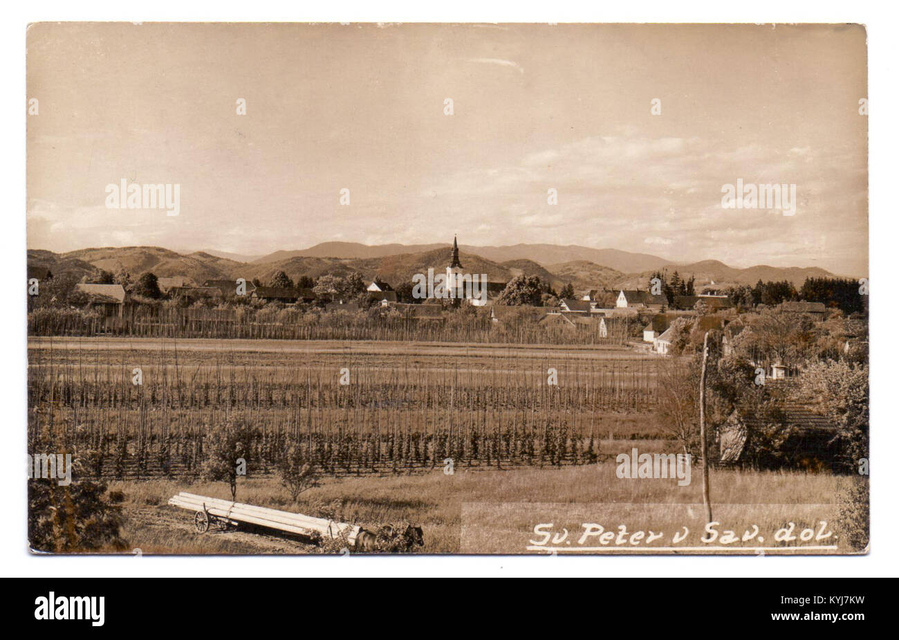 Vecchia cartolina di Šempeter nella valle di Savinja, che mostra il centro della città, le strade e gli edifici dell'inizio del XX secolo. Foto Stock
