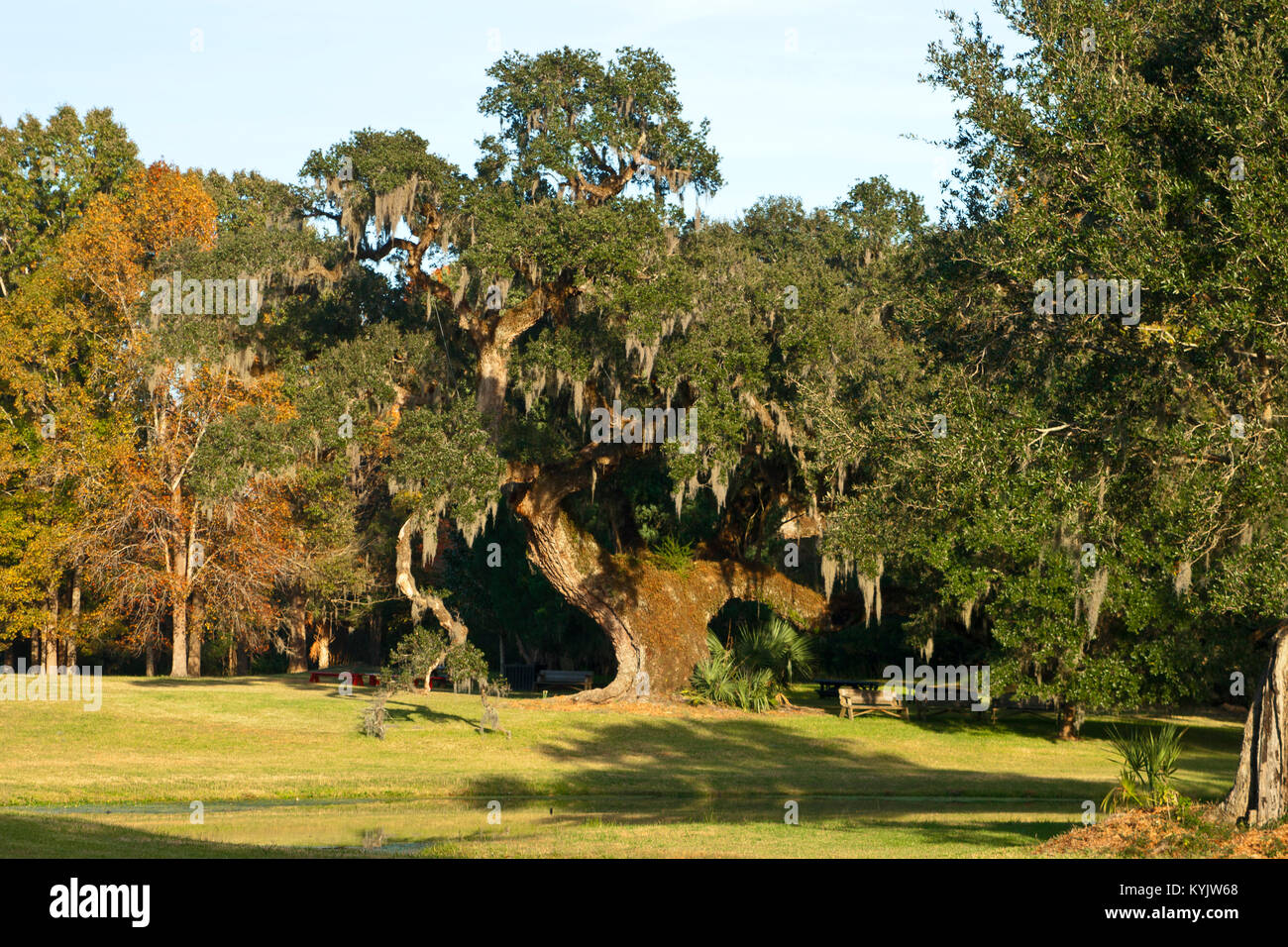 Carolina del Sud, Charleston, Drayton Hall Plantation, Foto Stock
