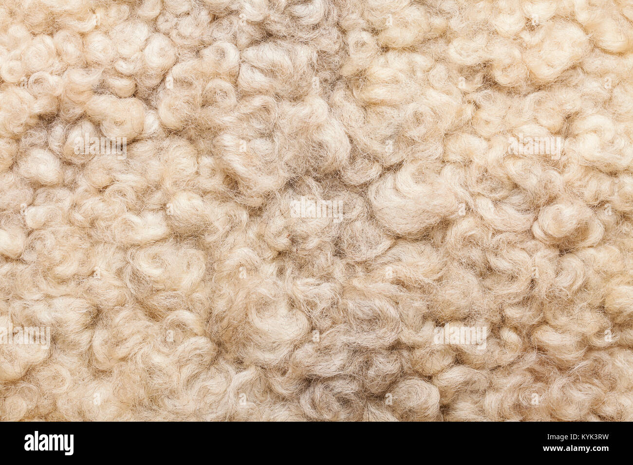 La pelliccia di pecora. Tessitura di lana. Primo piano sullo sfondo Foto Stock