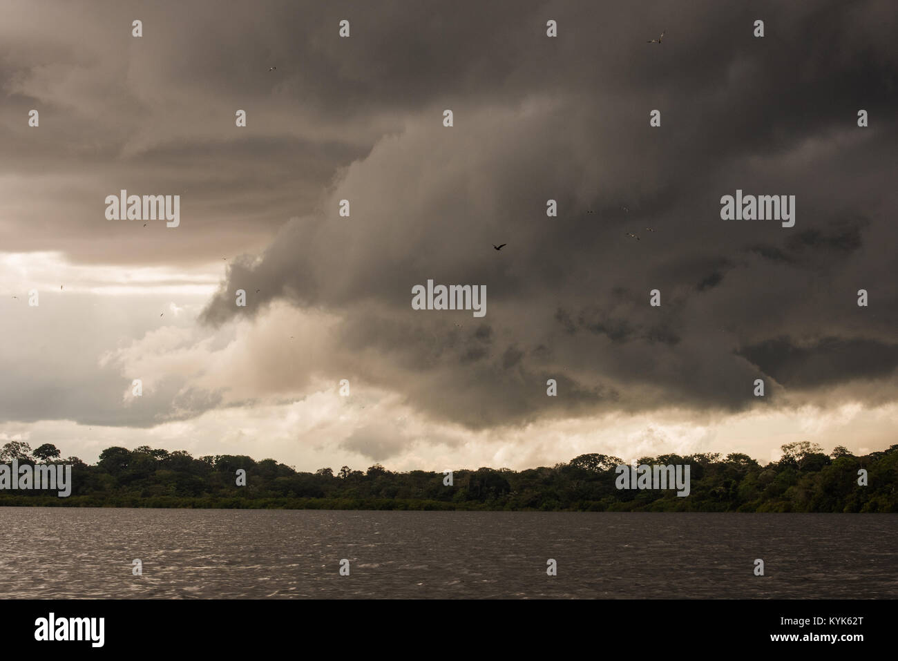 Un imminente tempesta oltre il fiume del Amazon in Colombia. Foto Stock