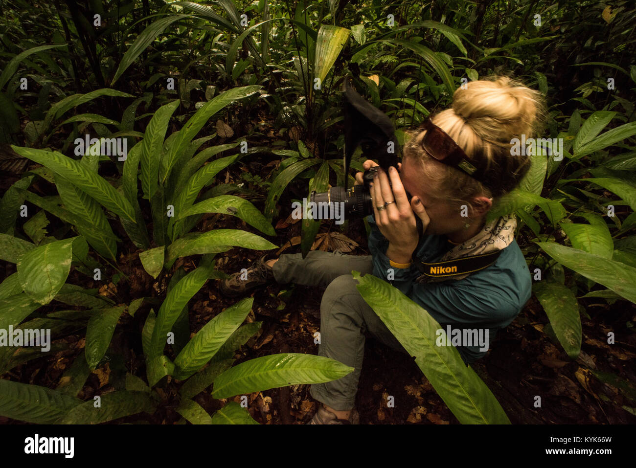 Una femmina di fotografo per scattare delle foto nella giungla colombiana. Foto Stock