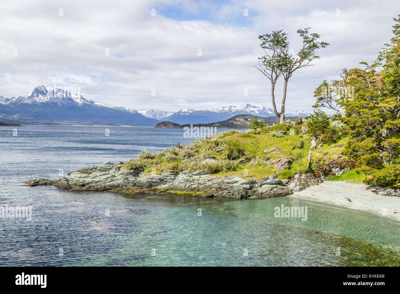 La foresta e il Canale di Beagle in Tierra del Fuego National Park, Ushuaia, Argentina Foto Stock