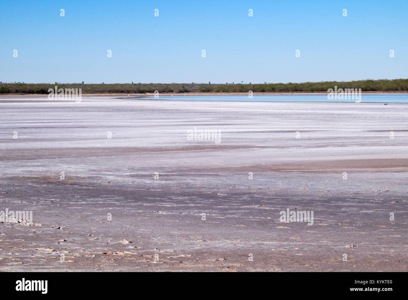 I depositi di sale, thornscrub e cactus che circonda La Sal del Rey in Hidalgo County, Texas, Stati Uniti d'America. Il lago di Garda è stata la fonte primaria di sale per indigineous Foto Stock