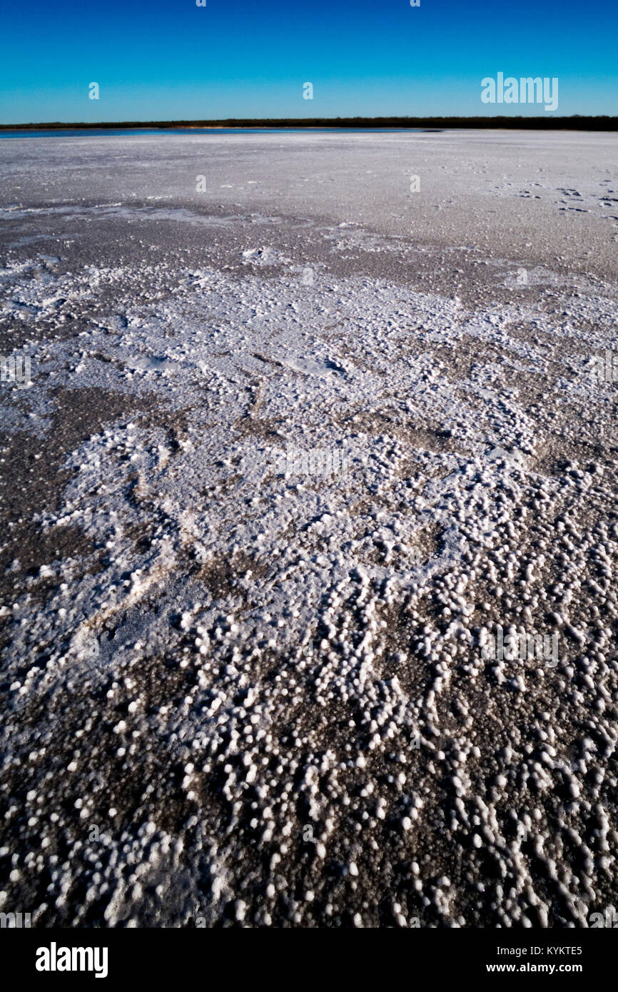 I depositi di sale, thornscrub e cactus che circonda La Sal del Rey in Hidalgo County, Texas, Stati Uniti d'America. Il lago di Garda è stata la fonte primaria di sale per indigineous Foto Stock