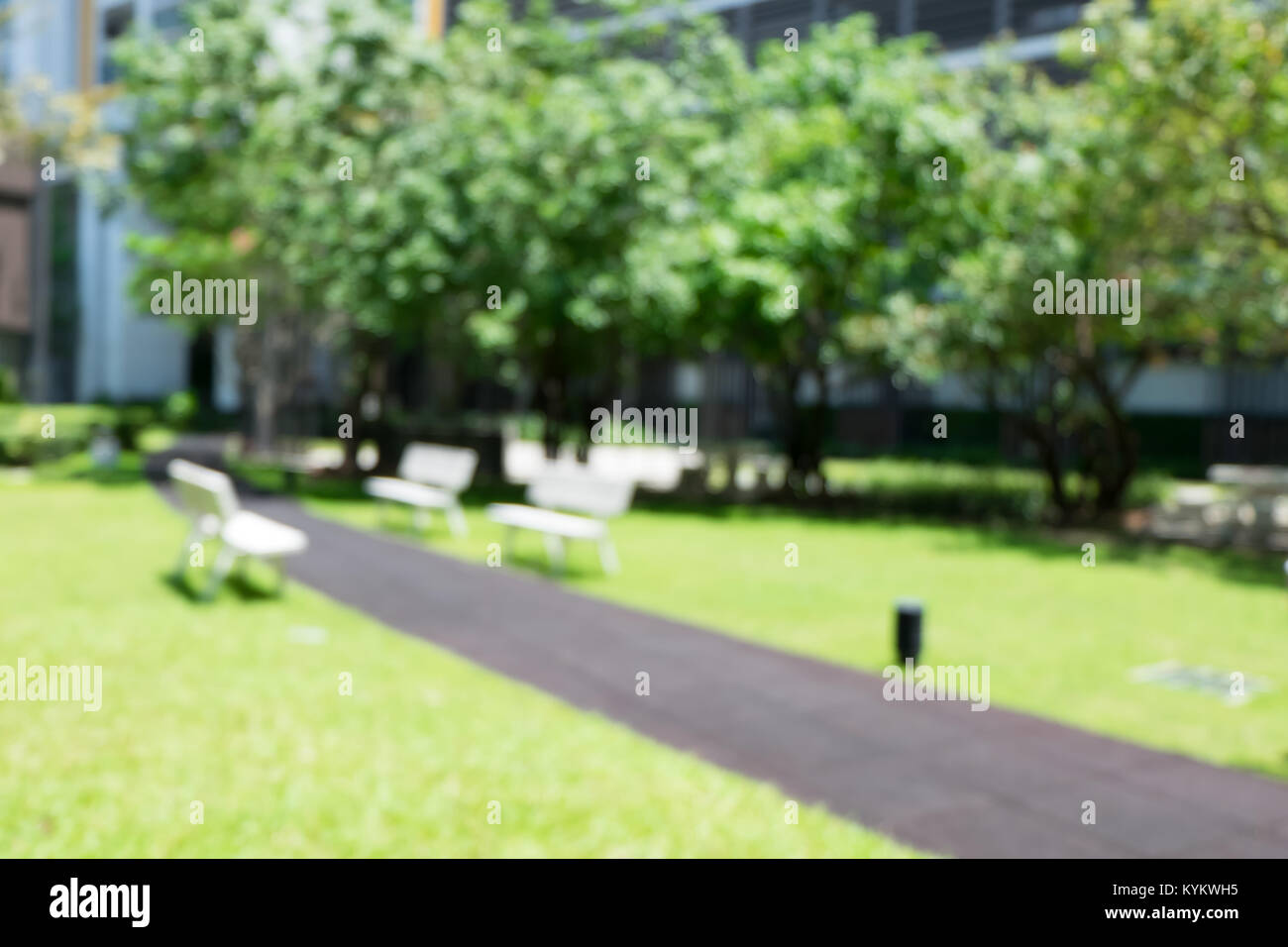 Percorso di sfocatura in background del parco,natura concetto di esercizio Foto Stock