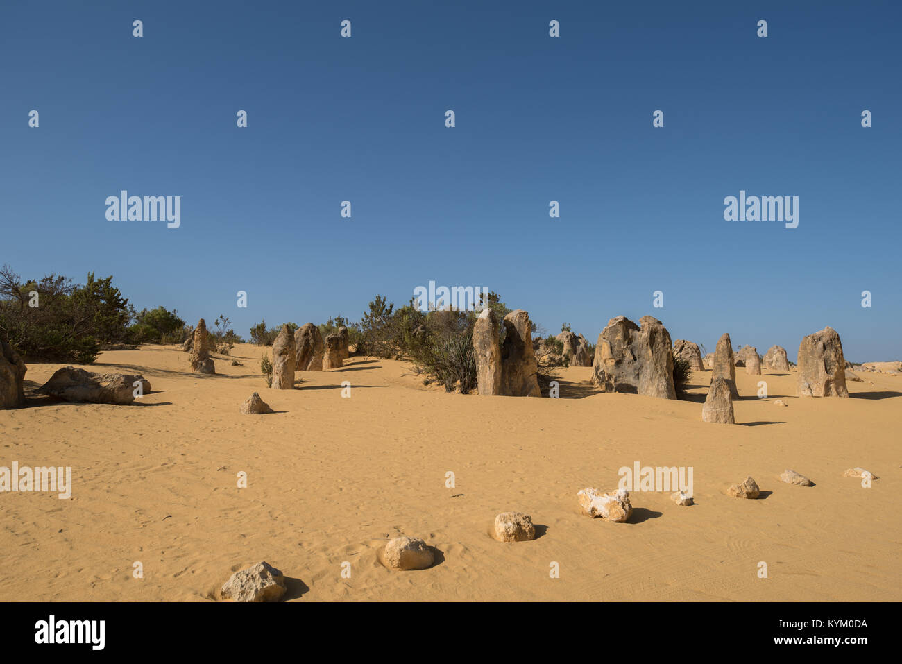 LANCELIN, Australia, WA / Western Australia - 2017 dicembre 19, i pinnacoli al Nambung Parco Nazionale Nambung National Park . La pillola di calcare Foto Stock