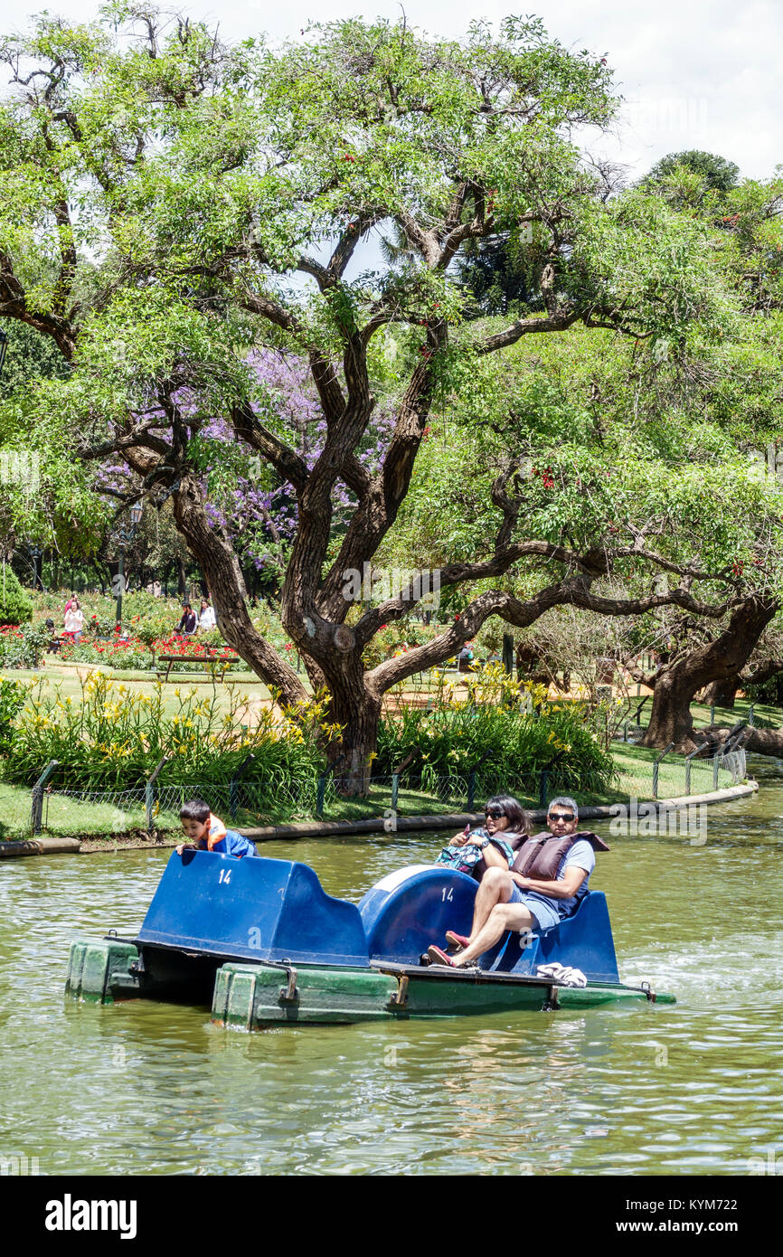 Buenos Aires Argentina,Bosques de Palermo,Parque 3 de febbraio,parco pubblico,lago,pedalo,barca a remi,ispanico,uomo uomo maschio,donna donna donna femmina,ragazzo,ki Foto Stock