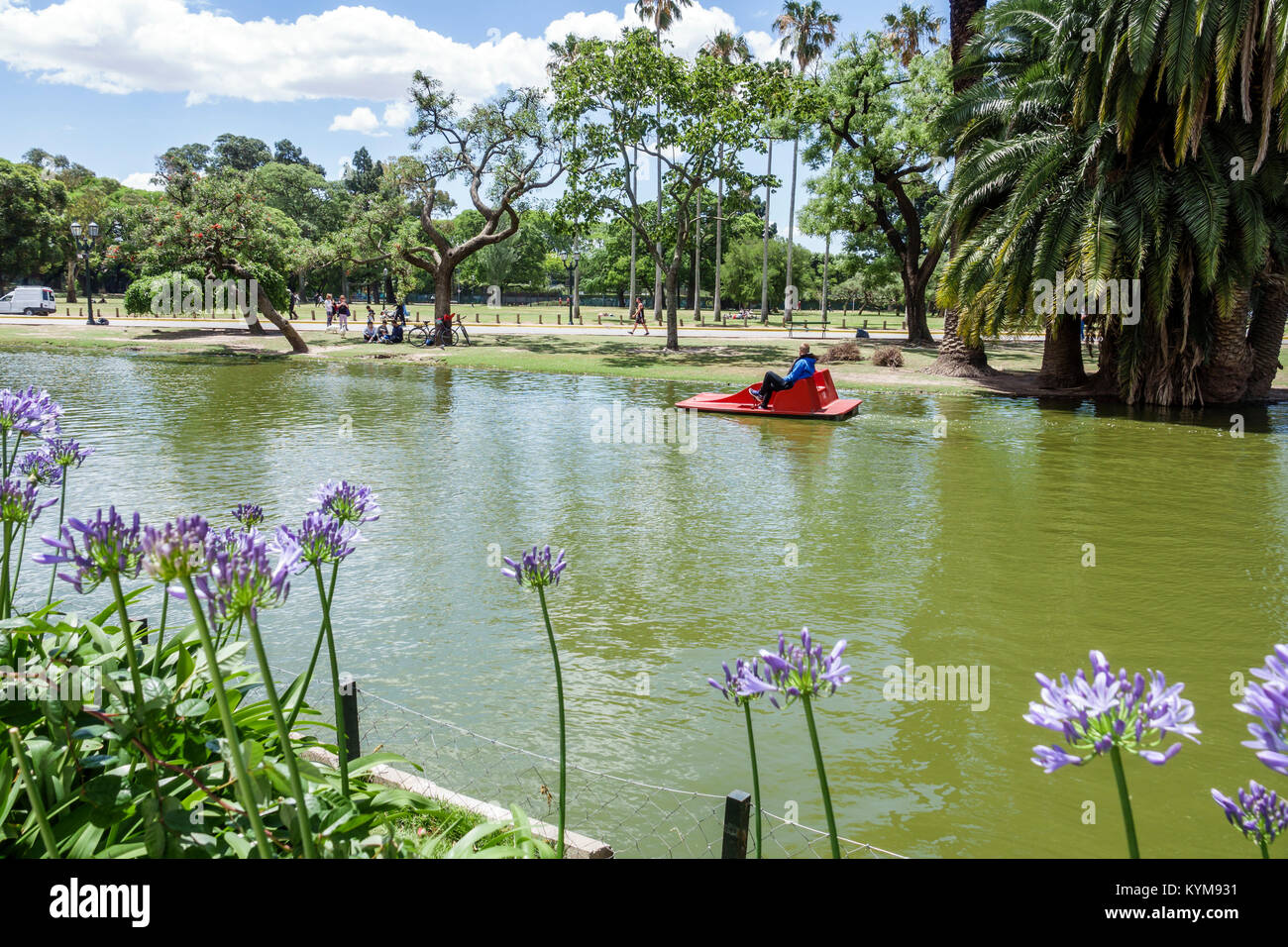 Buenos Aires Argentina, Bosques de Palermo, Parque 3 de febbraio, parco pubblico, lago, barca a remi, giardino, ispanico, ARG171119080 Foto Stock