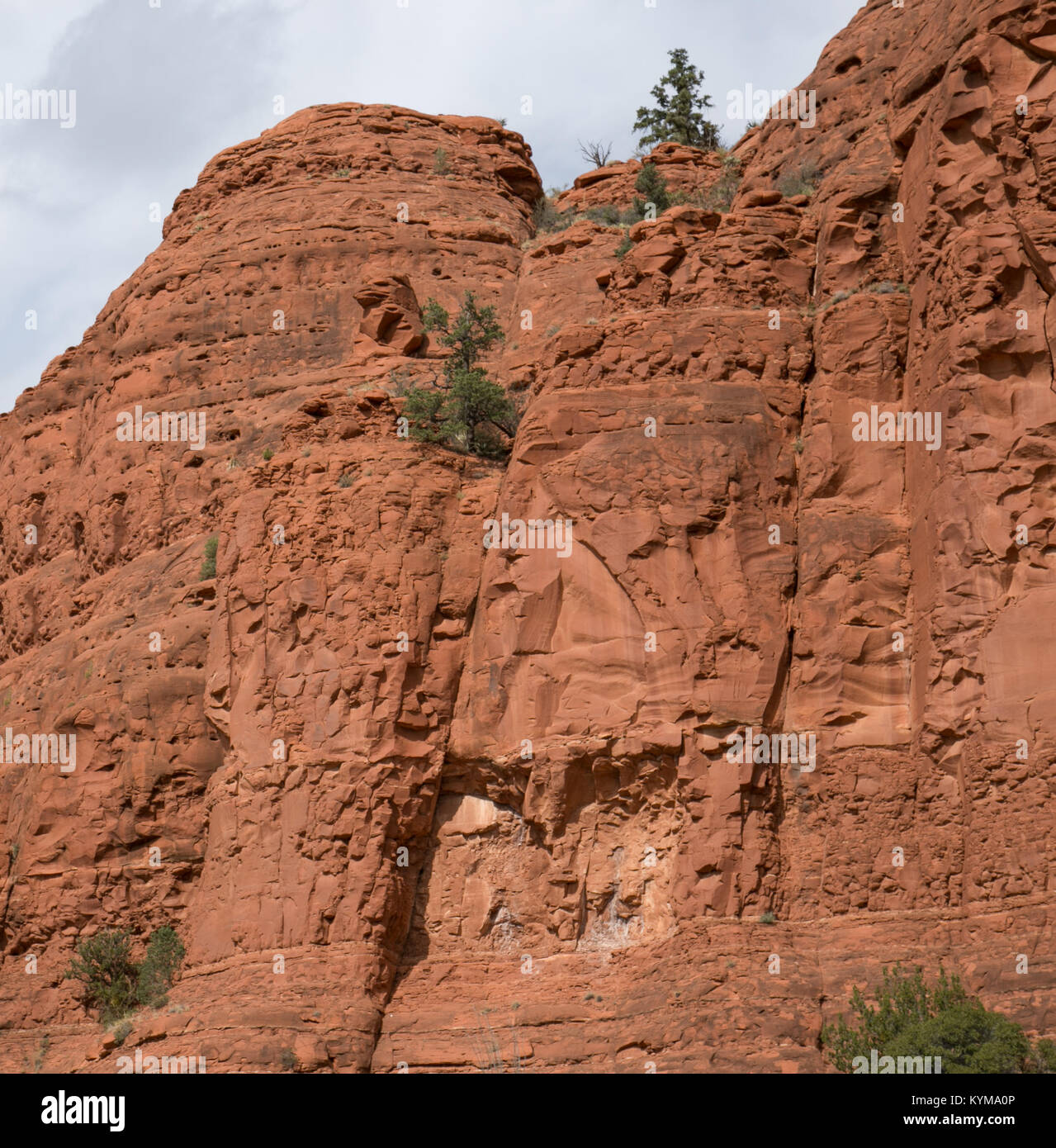 Splendida vista sulle Red Rocks di Sedona Foto Stock