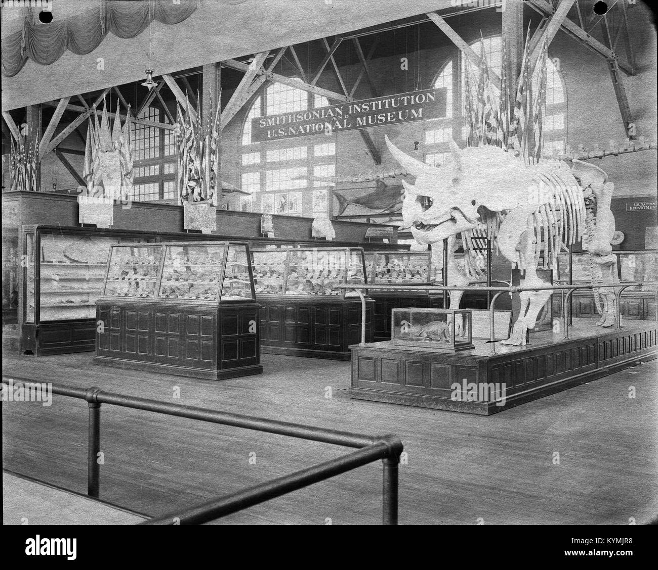 Una fotografia storica della mostra del Museo Nazionale degli Stati Uniti alla Pan-American Exposition del 1901 a Buffalo, New York. L'immagine presenta varie esposizioni, tra cui uno scheletro di dinosauro, come parte del contributo della mostra alla fiera. Foto Stock