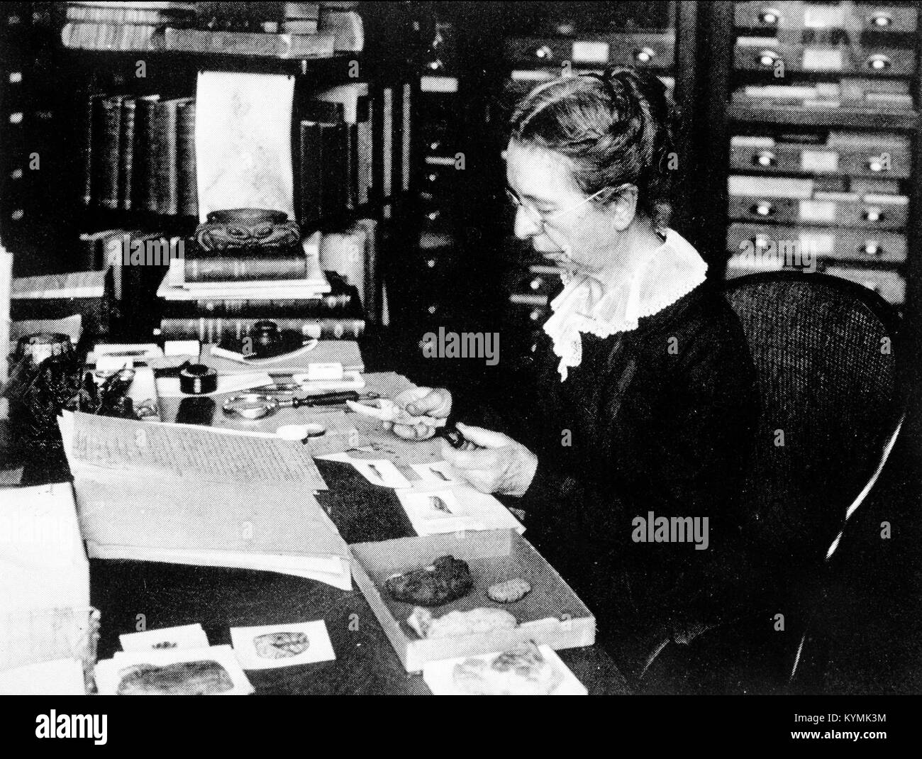 Mary Jane Rathbun (1860-1943), lavorando con campioni di granchio 3321968525 o Foto Stock