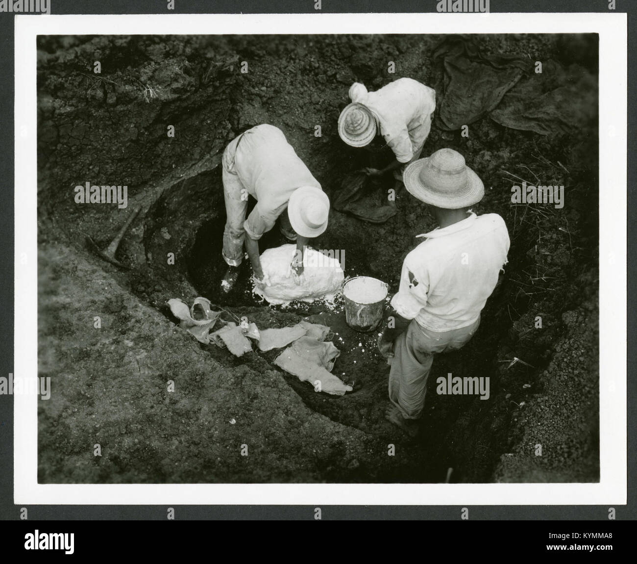 Campo giacche per i provini, eventualmente utilizzando il vecchio bende, Panama, 1951 8113482442 o Foto Stock