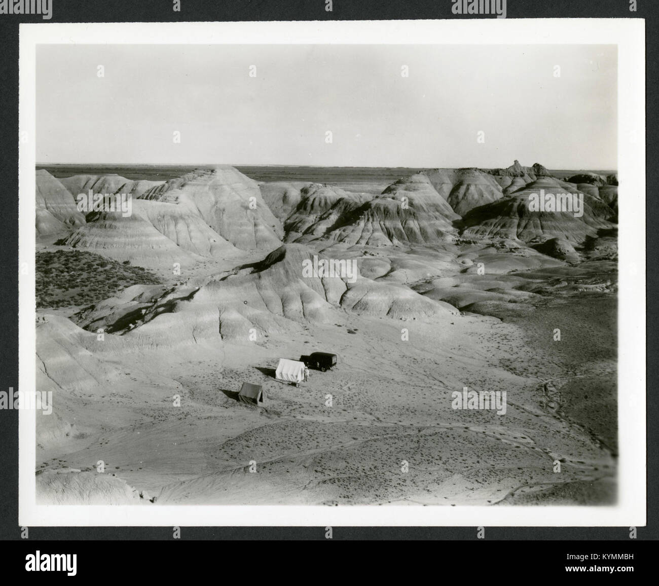 Fotografia di Charles Lewis Gazin che conduce lavori sul campo e colleziona, parte dei suoi contributi scientifici. Foto Stock