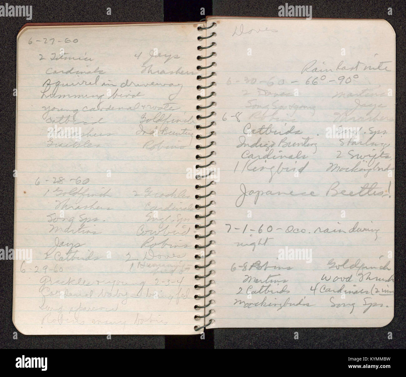 Questa immagine mostra il libro sul campo di James Eike del 1960, che documenta osservazioni scientifiche e ricerche durante il suo lavoro sul campo. La foto evidenzia l'importanza delle note sul campo nell'esplorazione scientifica. Foto Stock