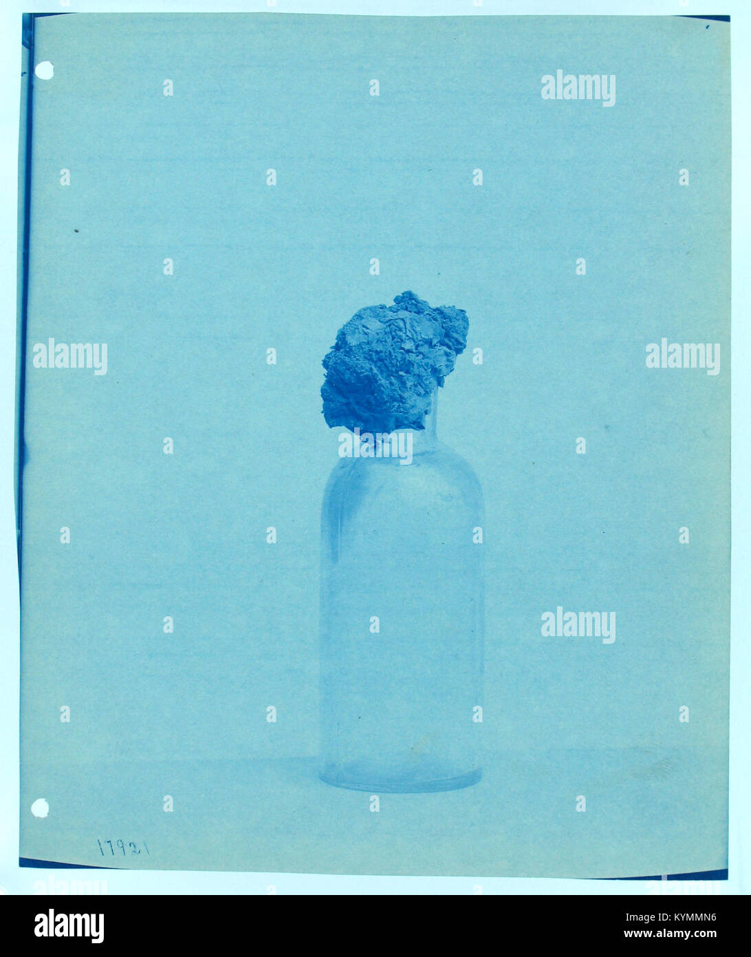 Una fotografia senza titolo dallo Smithsonian Institution Archives, probabilmente un cianotipo, che raffigura un esemplare del museo o un esemplare di roccia. L'immagine acquisisce l'elemento per scopi di archiviazione, mostrando i dettagli e la rilevanza storica. Foto Stock