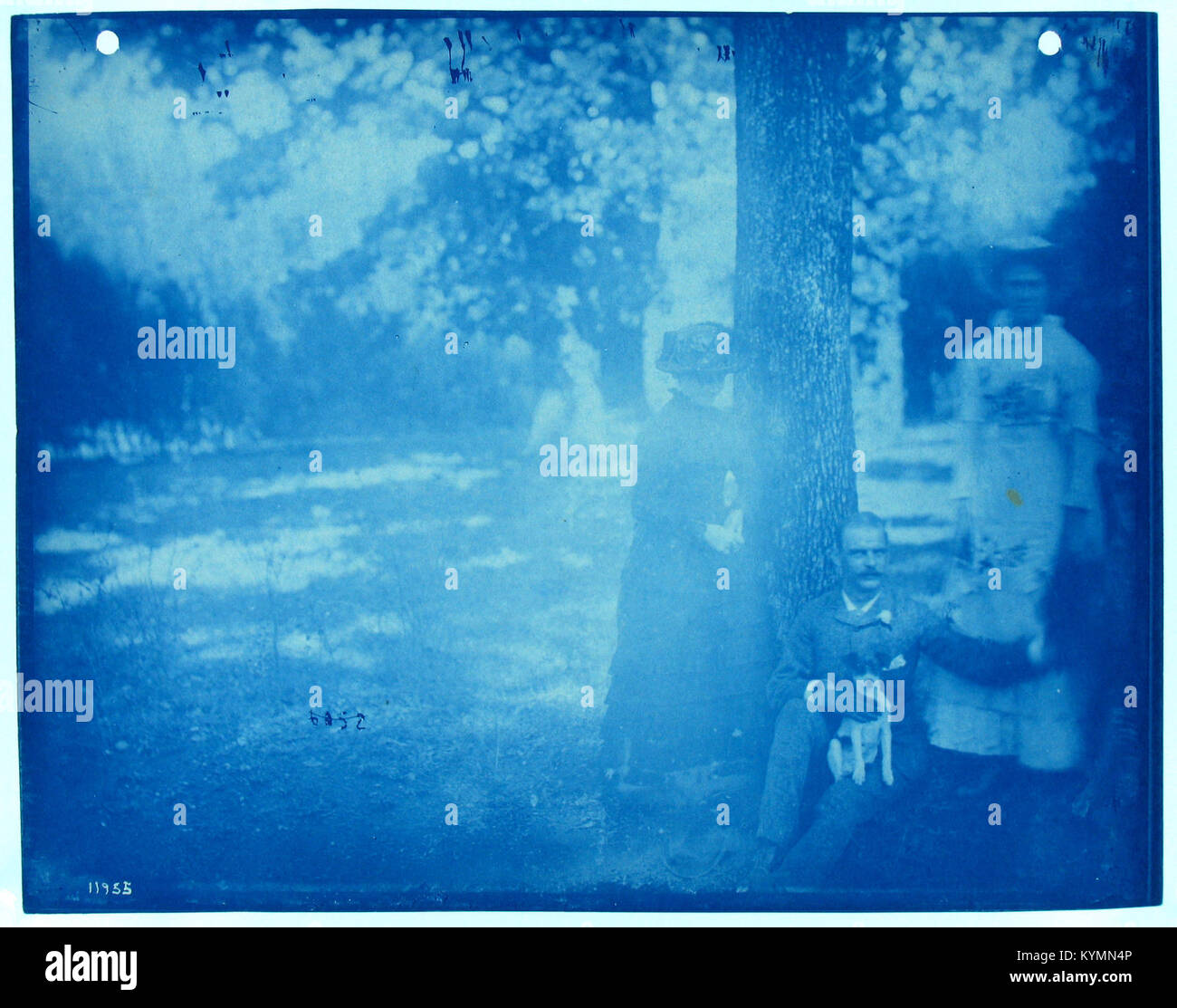 Un'immagine storica di cianotipo del 1890, raffigurante un picnic in famiglia in una foresta. La scena include una donna con un vestito bianco e un cappello, un cane da braccio e una famiglia che si gode un momento all'aperto sotto un grande albero. La fotografia proviene dallo Smithsonian Institution Archives e riflette una visione nostalgica della vita familiare alla fine del XIX secolo. Foto Stock